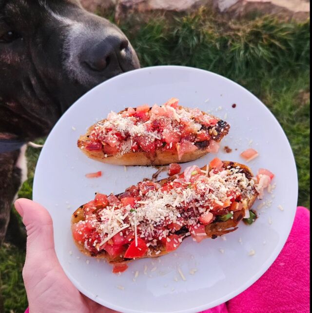 Homegrown tomatoes on homemade sourdough with a fresh balsamic glaze 🤤😋🍅🥖 Insisting on watching the sunset at pretty o'clock, but how chilly is it?? 😬❄️🌄

#queensland #widebayburnett #homemade #homegrown #bruscetta #prettyoclock